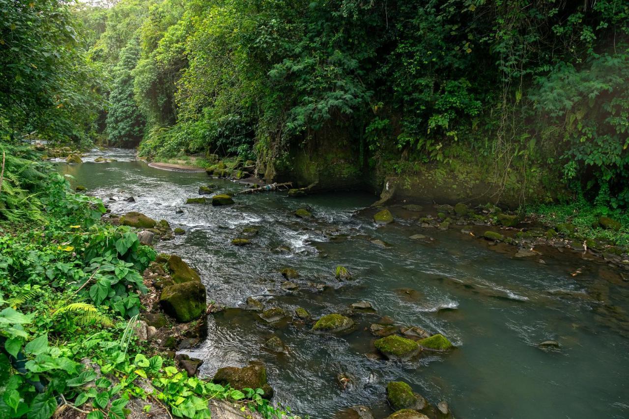Payangan The Pyramid Ubud River Villas מראה חיצוני תמונה