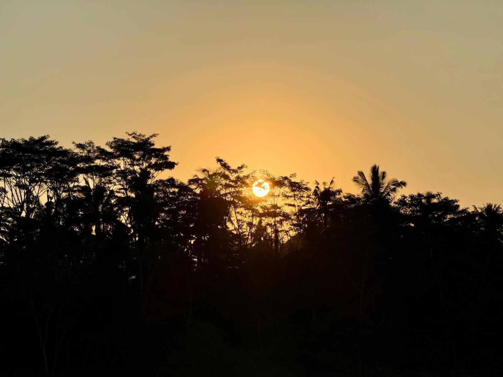 Payangan The Pyramid Ubud River Villas מראה חיצוני תמונה